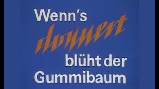 Fernsehspiel  Wenns donnert blüht der Gummibaum  Fernsehen der DDR 1982 [upl. by Illehs]