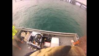 How we land Queenies Crackajack Sportfishing Style Hinchinbrook [upl. by Gleason]