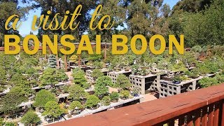 Visit to Boons Bonsai Nursery [upl. by Gurolinick656]