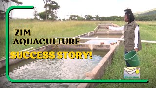 Sustainable Fish Farming in Zimbabwe Start Today 🌿 HowTo Guide [upl. by Robbin734]