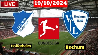 Hoffenheim vs Bochum  Bundesliga  Fifa Live Match Score Today [upl. by Nedyarb]