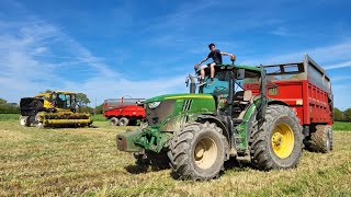 Ensilage dâ€™herbe 2024  conditions difficiles  bourrage de lensileuse ðŸ˜¬ [upl. by Boaten271]