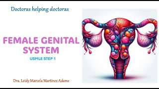 Female Genital System  Step 1 [upl. by Radborne]