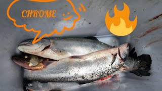 THIS WEEKS FISHING REPORT🎣🔥 32024 fishing michigan lakestclair stclairriver lakehuron fish [upl. by Darmit]