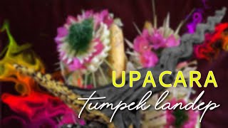 UPACARA TUMPEK LANDEP  BALI TRADITION [upl. by Naryt]