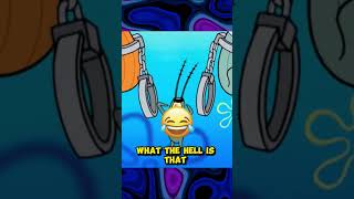 this joke in sopngebob killed me [upl. by Shoifet908]