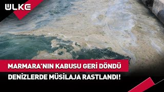 Marmaranın Kabusu Geri Dönüyor haber [upl. by Serolod]