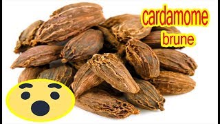 8 AVANTAGES ÉTONNANTS de cardamome brune pour la peau les cheveux et la santé [upl. by Ecyla137]