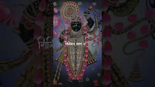 shree vardhavan Bihari Ji ki shortvideo reels song radheradhe bankebihari radheshyam [upl. by Kenton813]