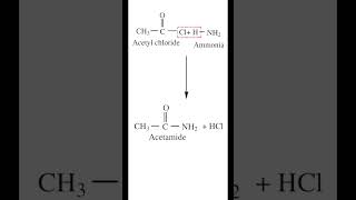 Ammonolysis of Acetyl Chloride  Preparation of Acetamide  chemistry  iitjee  neet2023 [upl. by Adnuahsar]