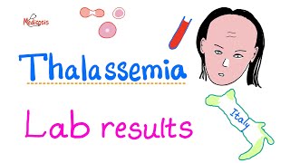 Thalassemia  Lab Results  How To Diagnose Thalassemia  Hematology Series [upl. by Ahiel437]