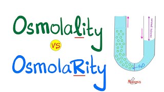 Osmolality vs Osmolarity with a mnemonic  Physiology and Chemistry [upl. by Llerdnad943]