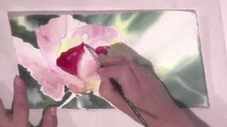 Preview  Watercolor for Beginners Red Rose in Watercolor with Jan Fabian Wallake [upl. by Sahc175]