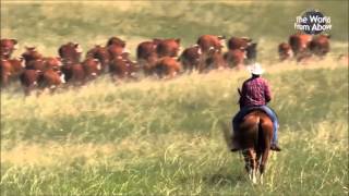 Cattle Call Performed by LeAnn Rimes amp Eddy Arnold [upl. by Phelps145]