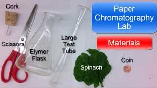 Paper Chromatography Lab short [upl. by Waldner]