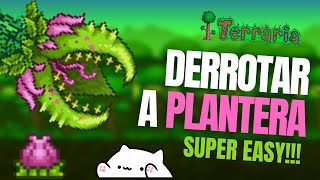 🌷Terraria 14 PLANTERA  Como DERROTAR a PLANTERA en Terraria MODO MAESTRO 🤬 [upl. by Anstice774]