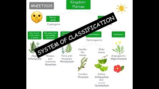 System of Classification  Plant Kingdom  Ncert at your fingertips  All PYQs covered neet2024 [upl. by Reginald]