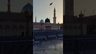 أرضالصومال trending masjidnabawiﷺ madinah وائرل ٹرینڈنگ [upl. by Norraa]