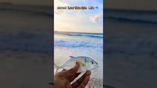 Rescue Mission Bringing Sunken Fish Back to Life fishing saveing [upl. by Alya178]