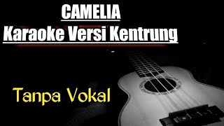 CAMELIA KARAOKE VERSI KENTRUNG  IRWANSYAH [upl. by Patsis]