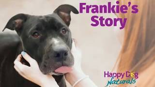 Mite Avenge® Mange Treatment – Frankies Story [upl. by Seen751]