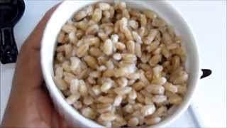 How to Cook Barley in 15 minutes [upl. by Nnylirej]