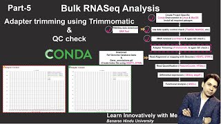 Bulk RNASeq Analysis Demystified StepbyStep Tutorial Part 5 Adapter Trimming using trimmomatic [upl. by Yolande737]