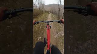 End of the Twrch Trail Cwmcarn ⛰️⚡️ shorts short mtb gopro cwmcarn wales [upl. by Ardnuhs]