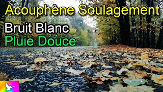 ACOUPHÈNES Soulagement Bruit Blanc Pluie Douce Sons Pluvieux Hyperacousie Oreille Tinnitus Ambience [upl. by Myranda]