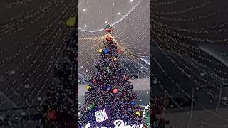 Big Christmas Tree of MOA 2024 shortvideo [upl. by Rabaj]