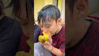 begini cara agar buah mangga cepat matang diy kreatif viral art craft [upl. by Russel824]