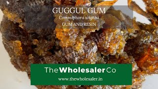 Guggul Gum  Commiphora wightii  TheWholesalerCo [upl. by Annyrb]