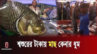 শ্বশুরের টাকায় মাছ কেনার ধুম জামালপুরে ‘জামাই মেলা’ Jamai Mela  Jamalpur  Festival [upl. by Aidnyc]