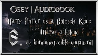 Harry Potter és a Bölcsek Köve hangoskönyv  6 fejezet [upl. by Lune940]