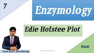 Eadie Hofstee Plot Hindi  Enzyme Kinetics [upl. by Nnil]