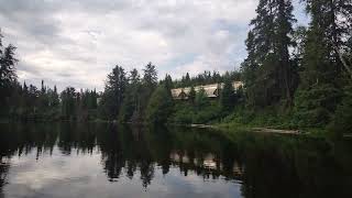 Freight Train careening through the bush next to the Makami River [upl. by Eisac]