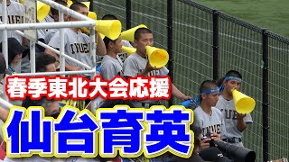 仙台育英応援 高校野球応援 【高校野球 春季東北大会 準々決勝 仙台育英 vs 弘前聖愛 2024615 仙台市民球場 [upl. by Tiloine843]