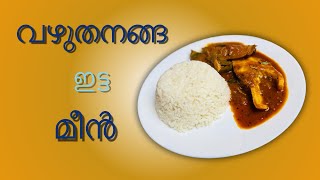 Vazhuthananga Fish Curry [upl. by Boeschen]