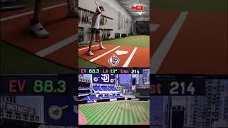 Baseball Bat vs Softball Bat Exit Velo Testing  Can the Black Magic beat the Green Zen and Cat 9 [upl. by Comras]