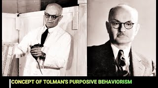 Tolmans purposive behaviorism or SS theory [upl. by Asiela]