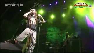 Alborosie Live  FULL CONCERT 2012 [upl. by Inoliel]