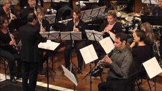 Artie Shaw Concerto for clarinet  Bence Szepesi [upl. by Aiket]