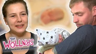 Heiße Küsse bei Estefanias Videodreh 💋🔥 Silvia schreitet ein 😅  Folge 259  Die Wollnys  RTLZWEI [upl. by Atiroc867]