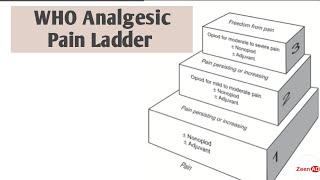 WHO Analgesic LadderPain ManagementWHO Pain LadderPain LadderWHO pain Ladder 2022painladder [upl. by Enneyehc]