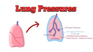 Understanding Lung Pressures [upl. by Melone]