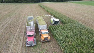 Trucking Corn Silage 2022 [upl. by Rimidalg]