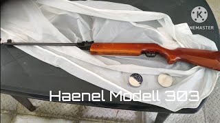 Haenel Modell 303 back garden plinking  strzelanie w ogrodzie [upl. by Darton243]