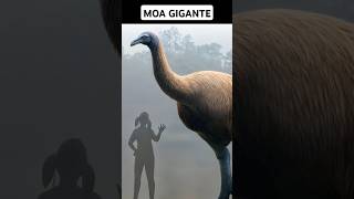 Los Moas Gigantes y su Trágico Final Las Inmensas Aves de Nueva Zelanda que se Extinguieron [upl. by Rolyat716]