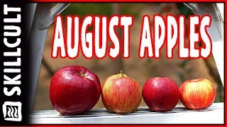 August Apple Tasting Viking Kerry Pippin Chestnut Crab Williams Pride Salem June [upl. by Nus]