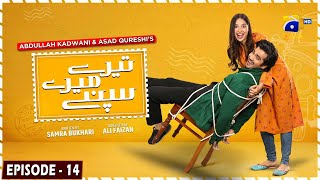 Tere Mere Sapnay Mega Episode 14  Eng Sub  Shahzad Sheikh  Sabeena Farooq  24th March 2024 [upl. by Analihp]